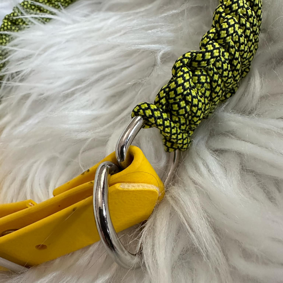 Bizzy Bee Collar - Double Paracord Size Large