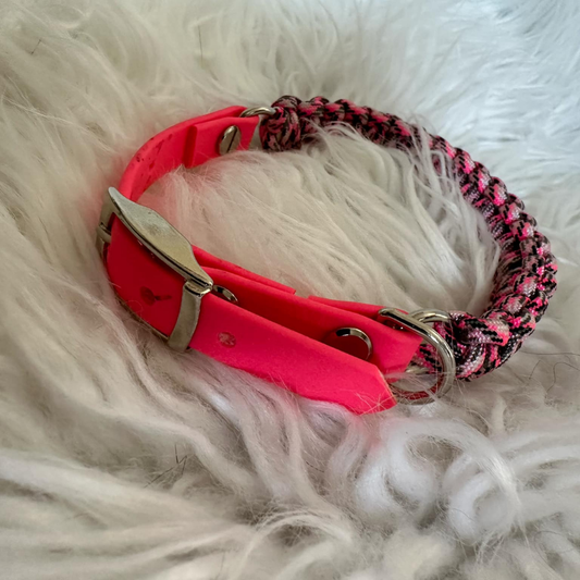 Pretty in Pink Collar - Size Small